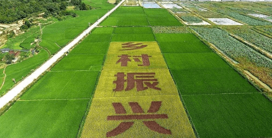 人民日?qǐng)?bào)“鄉(xiāng)村振興計(jì)劃”為何看上他？_直播_行業(yè)_農(nóng)產(chǎn)品